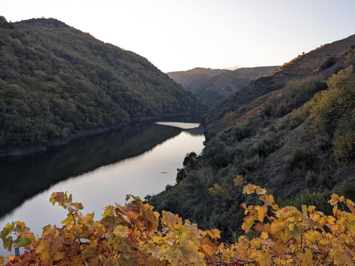 La Casita De La Ribeira Sacra Villa Монфорте де Лемос Екстериор снимка